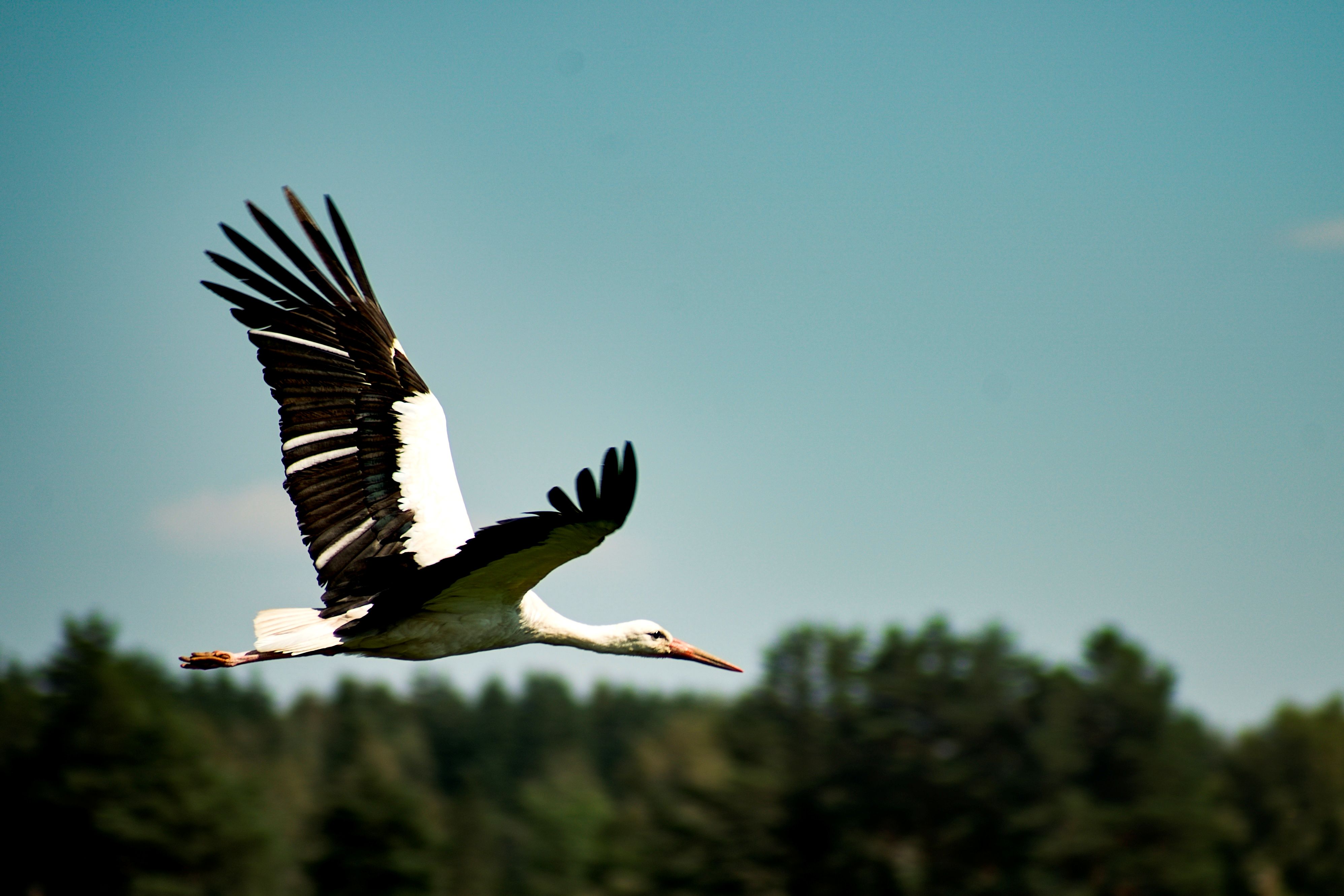 Impressionen von SieWa